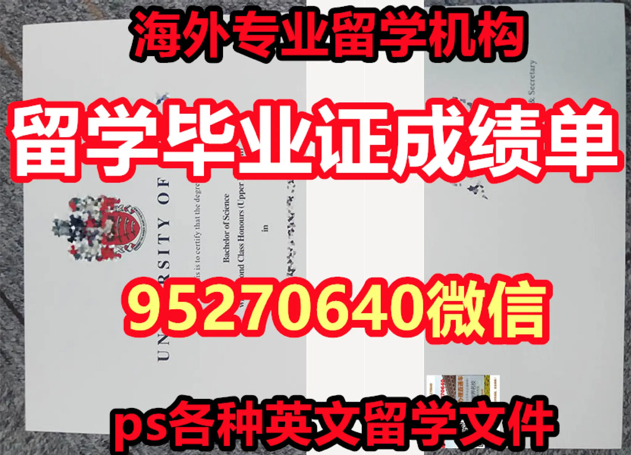 UCF成绩单