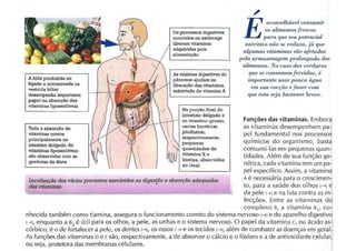 Digestão e absorção das vitaminas
