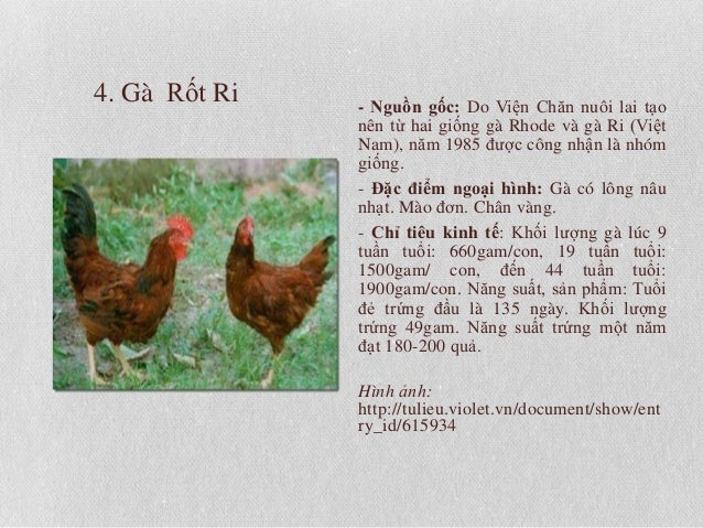 最新のhdga Rốt Ri Lai 子供向けぬりえ 最新のhdga Rốt Ri Lai 子供向けぬりえ