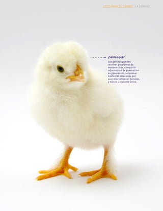 LA GUÍA VEGETARIANA PARA PRINCIPIANTES
Las gallinas pueden
resolver problemas de
matemáticas, compartir
información de generación
en generación, reconocer
hasta 100 otras aves por
sus características faciales,
y tienen un idioma único.
¿Sabías qué?
LISTO PARA EL CAMBIO LA VERDAD
 