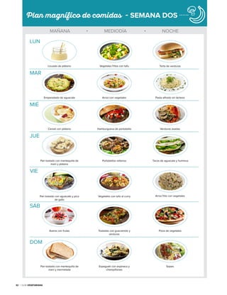 32 • Guía Vegetariana
Mañana • Mediodía • Noche
Plan magnífico de comidas - SEMANA DOS
Pasta alfredo sin lácteosArroz con vegetalesEmparedado de aguacate
MAR
Verduras asadasHamburguesa de portobelloCereal con plátano
MIÉ
Torta de verdurasVegetales fritos con tofuLicuado de plátano
LUN
Pan tostado con mantequilla de
maní y plátano
Portobellos rellenos Tacos de aguacate y hummus
JUE
SopesEspagueti con espinaca y
champiñones
Pan tostado con mantequilla de
maní y mermelada
DOM
Arroz frito con vegetalesVegetales con tofu al curryPan tostado con aguacate y pico
de gallo
VIE
Pizza de vegetalesTostadas con guacamole y
verduras
Avena con frutas
SÁB
 