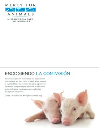 ESCOGIENDO LA COMPASIÓN
Misericordia para los animales es una organización
internacional, sin fines de lucro, dedicada a prevenir
la crueldad hacia los animales de granja y promover
decisiones compasivas por medio de la educación,
acciones legales, investigaciones encubiertas, y
divulgación corporativa.
Únete a nosotros en MercyForAnimals.org.
 