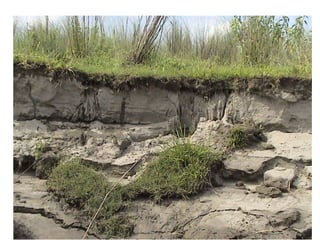 20 Sept 2015 OUR EARTH G V RAO 13
 