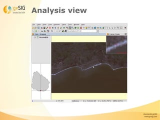 Analysis view
 