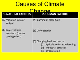 1. NATURAL FACTORS 2. HUMAN FACTORS
(A) Variation in solar
output
(B) Large volcanic
eruptions (causes
cooling effect)
(A) Burning of fossil fuels
(B) Deforestation
(C) Changing land use due to:
(i) Agriculture & cattle farming
(ii) Industrial activities
(iii) Urbanisation
Causes of Climate
Change
 