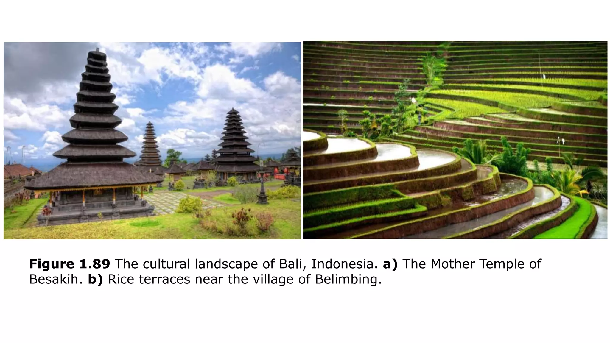 Figure 1.89 The cultural landscape of Bali, Indonesia. a) The Mother Temple of
Besakih. b) Rice terraces near the village of Belimbing.
 
