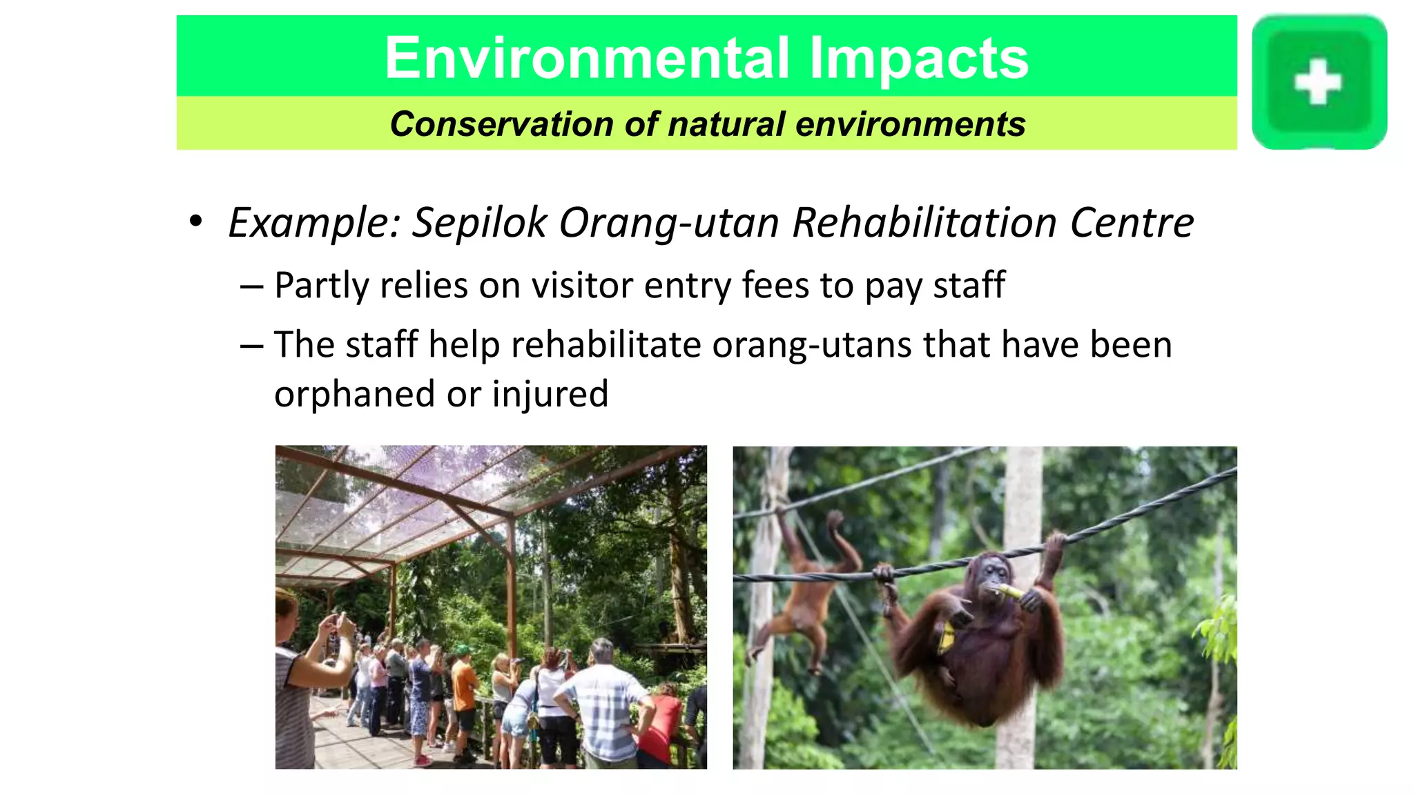 Environmental Impacts
Conservation of natural environments
• Example: Sepilok Orang-utan Rehabilitation Centre
– Partly relies on visitor entry fees to pay staff
– The staff help rehabilitate orang-utans that have been
orphaned or injured
 