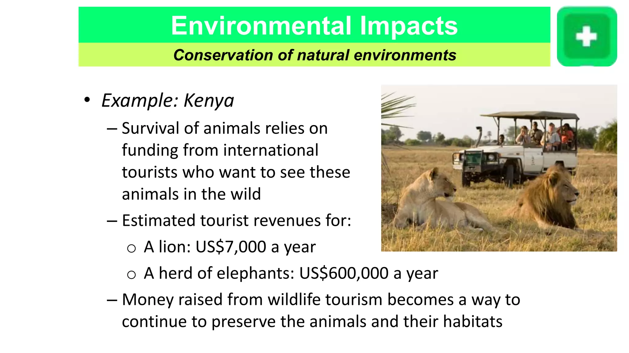 Environmental Impacts
Conservation of natural environments
• Example: Kenya
– Survival of animals relies on
funding from international
tourists who want to see these
animals in the wild
– Estimated tourist revenues for:
o A lion: US$7,000 a year
o A herd of elephants: US$600,000 a year
– Money raised from wildlife tourism becomes a way to
continue to preserve the animals and their habitats
 