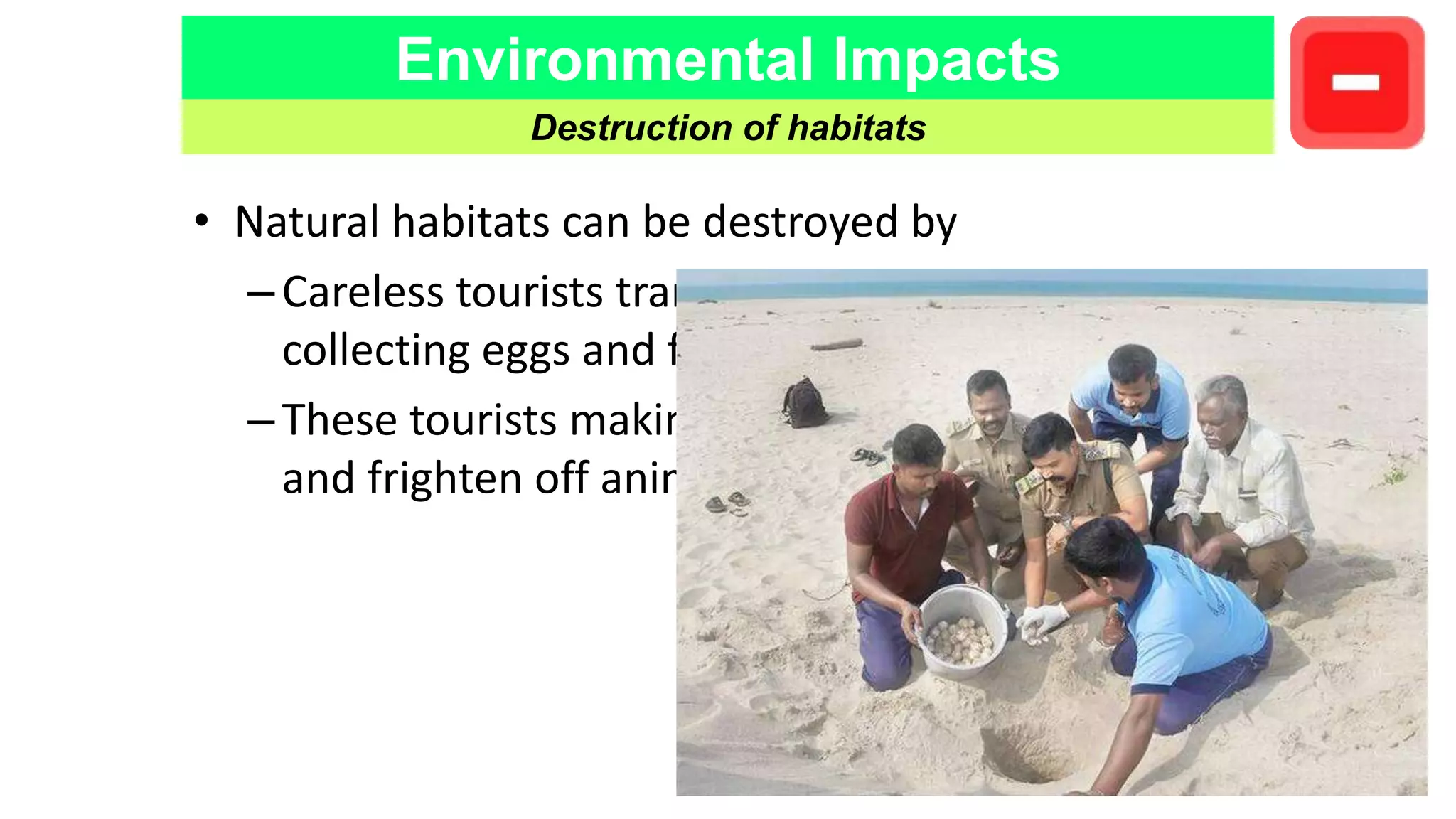 Environmental Impacts
Destruction of habitats
• Natural habitats can be destroyed by
–Careless tourists trampling on plants, while others
collecting eggs and feathers of birds as souvenirs
–These tourists making too much noise which can disturb
and frighten off animals
 