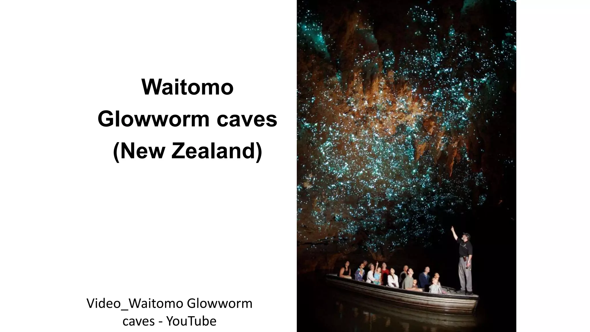 Waitomo
Glowworm caves
(New Zealand)
Video_Waitomo Glowworm
caves - YouTube
 