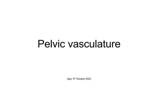 Ajay: 5th October 2023
Pelvic vasculature
 