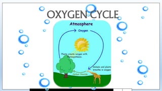 The BIOGEOCHEMICAL Cycle | PPTX