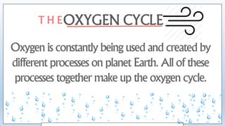 The BIOGEOCHEMICAL Cycle | PPTX