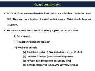 GWAS "GENOME WIDE ASSOCIATION STUDIES" A STEP AHEAD | PPTX