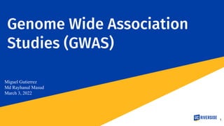 Genome Wide Association
Studies (GWAS)
Miguel Gutierrez
Md Rayhanul Masud
March 3, 2022
1
 