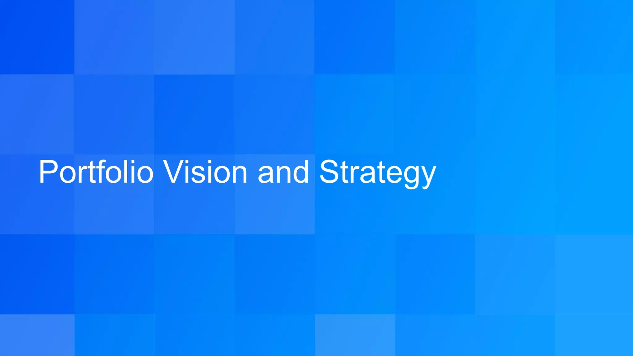 Portfolio Vision and Strategy
 