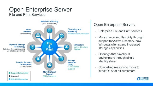 enterprize server