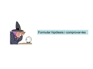 Formular hipòtesis i comprovar-les
 