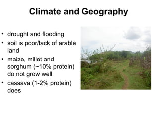 Climate and Geography   drought and flooding  soil is poor/lack of arable land maize, millet and sorghum (~10% protein) do not grow well  cassava (1-2% protein) does 