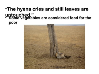 “ The hyena cries and still leaves are untouched.” Some vegetables are considered food for the poor 