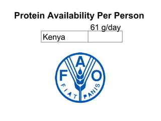Protein Availability Per Person Kenya 61 g/day  