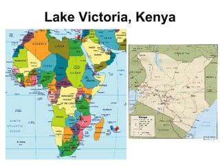 Lake Victoria, Kenya 