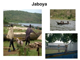 Jaboya  