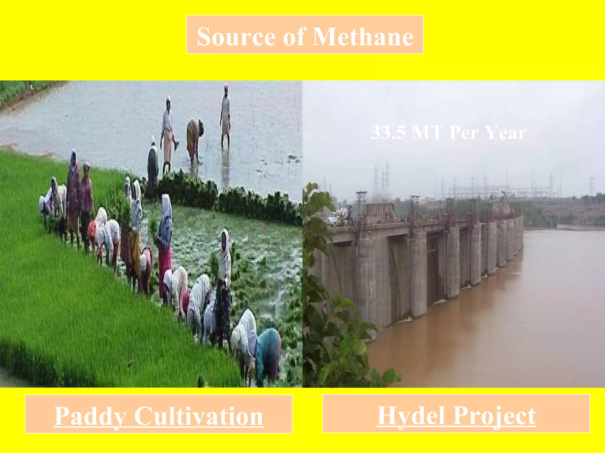 Paddy Cultivation Source of Methane 33.5 MT Per Year Hydel Project 