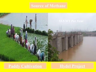 Paddy Cultivation Source of Methane 33.5 MT Per Year Hydel Project 