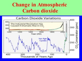 Change in Atmospheric  Carbon dioxide  