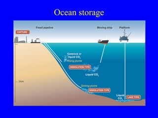Ocean storage 