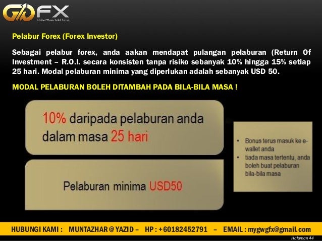 Gwg forex