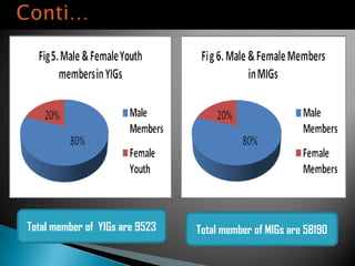 Ethiopia Agricultural Growth Program experiences in the gender perspective
