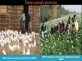 Ethiopia Agricultural Growth Program experiences in the gender perspective