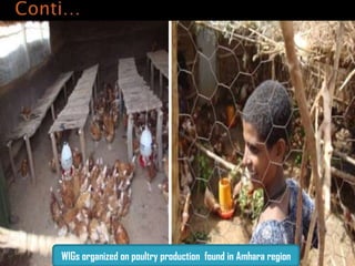 Ethiopia Agricultural Growth Program experiences in the gender perspective