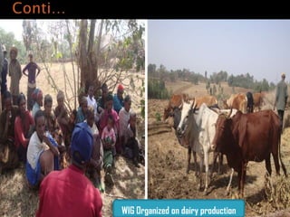 Ethiopia Agricultural Growth Program experiences in the gender perspective