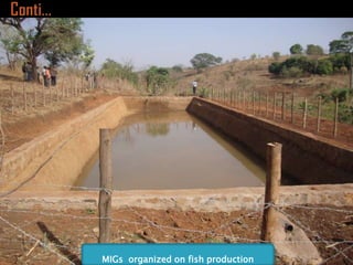 Ethiopia Agricultural Growth Program experiences in the gender perspective