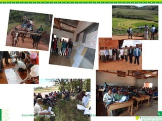 Gender mainstreaming in agricultural research for development: Experiences from ASARECA