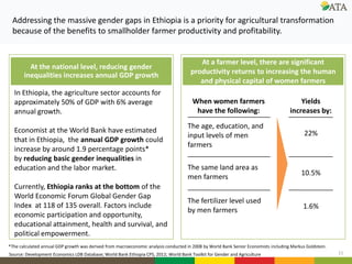 Gender mainstreaming at ATA: Current and future directions