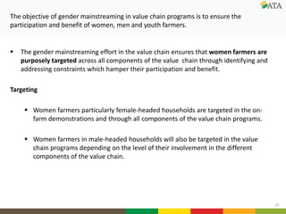 Gender mainstreaming at ATA: Current and future directions