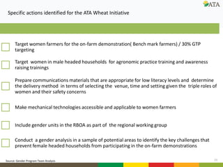 Gender mainstreaming at ATA: Current and future directions