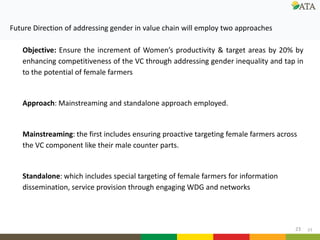 Gender mainstreaming at ATA: Current and future directions