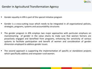 Gender mainstreaming at ATA: Current and future directions