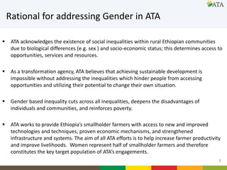 Gender mainstreaming at ATA: Current and future directions