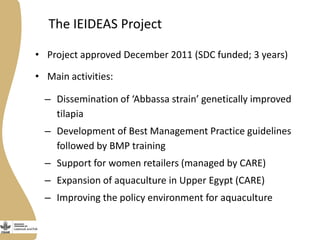 Enhancing the employment of women fish retailers in Egypt