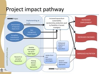 Enhancing the employment of women fish retailers in Egypt