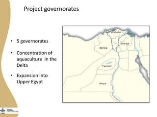 Enhancing the employment of women fish retailers in Egypt