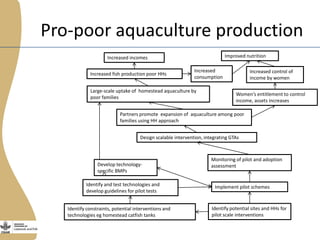 Enhancing the employment of women fish retailers in Egypt