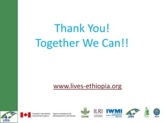 Gender tooling in LIVES: Design, adaptability, use and triangulation