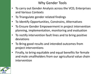 Gender tooling in LIVES: Design, adaptability, use and triangulation